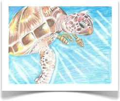 Taller de Vinci Arts en Tráfico Bazar