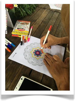 Lanzamiento Plumones Vinci Dual Point en Mandala Fest